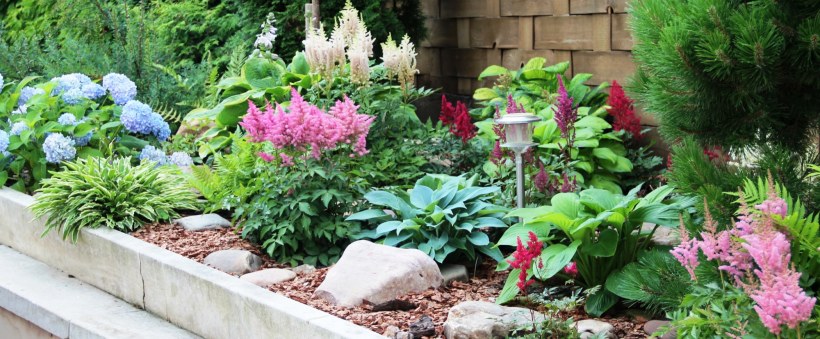 Клумба с туей Смарагд