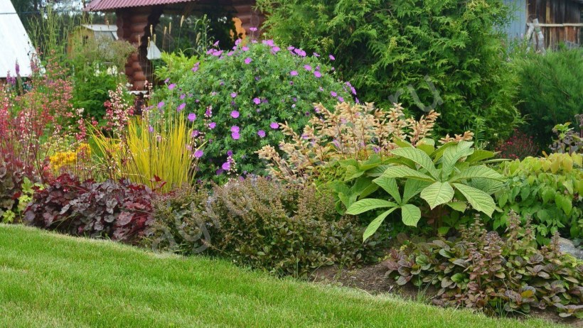 Композиция со скамейкой в саду