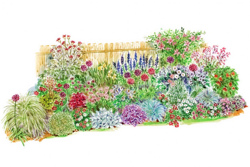 Миксбордер с сиренью