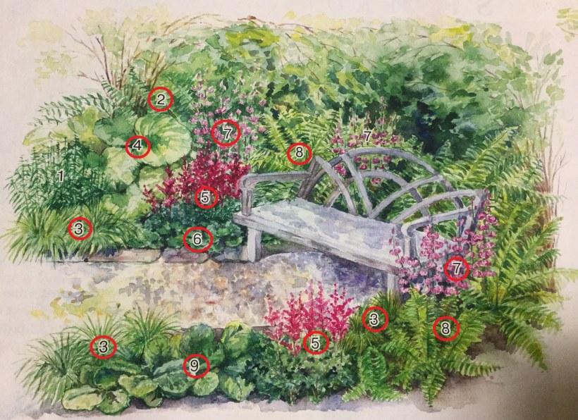 Миксбордер непрерывного цветения многолетников