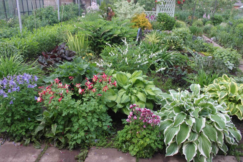 Огородный миксбордер