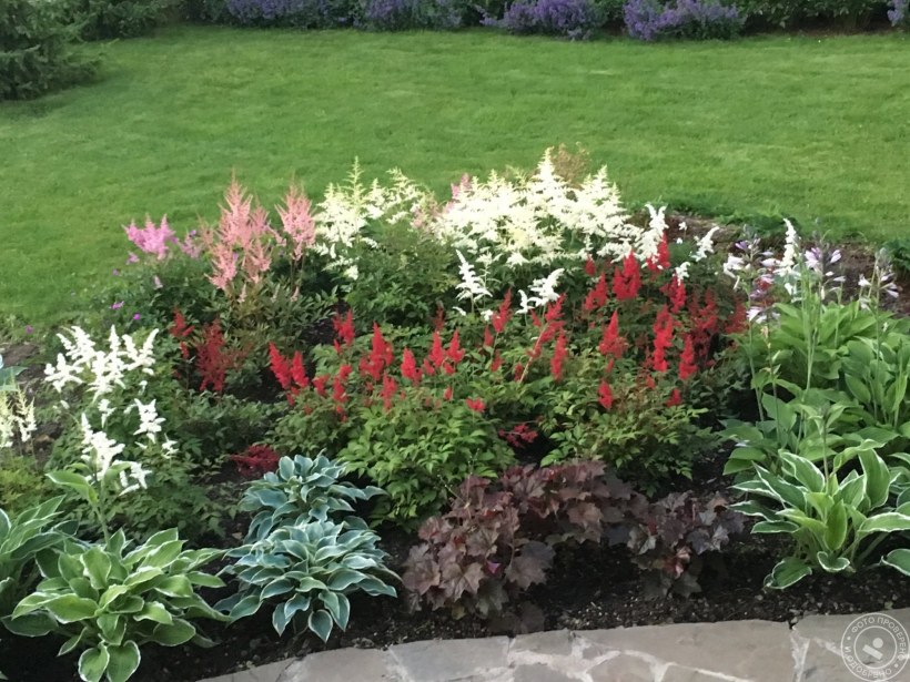 Полевой миксбордер