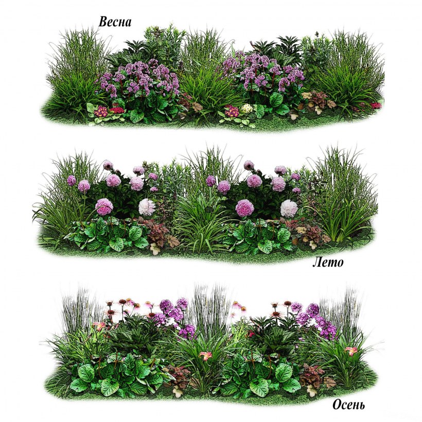 Альпийская горка миксбордер