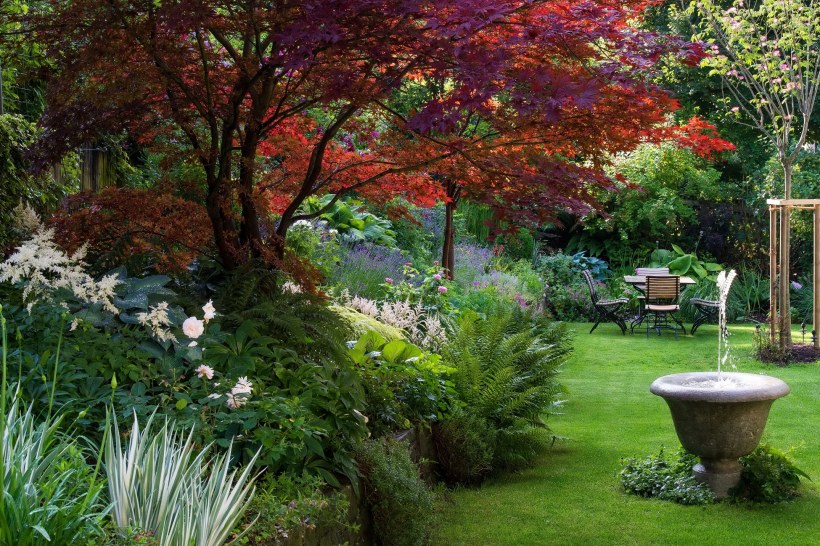 Красивые деревья для сада