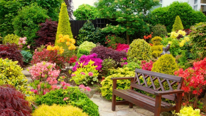 Миксбордер Аптекарский огород