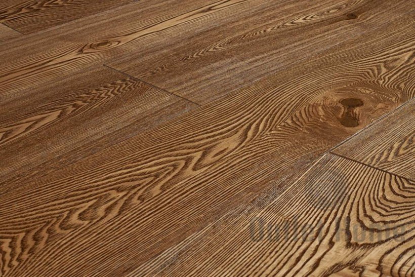 Hajnowka › дуб Czerlon