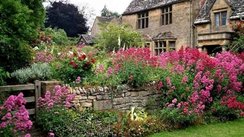 Моттистоун английское поместье сад розы