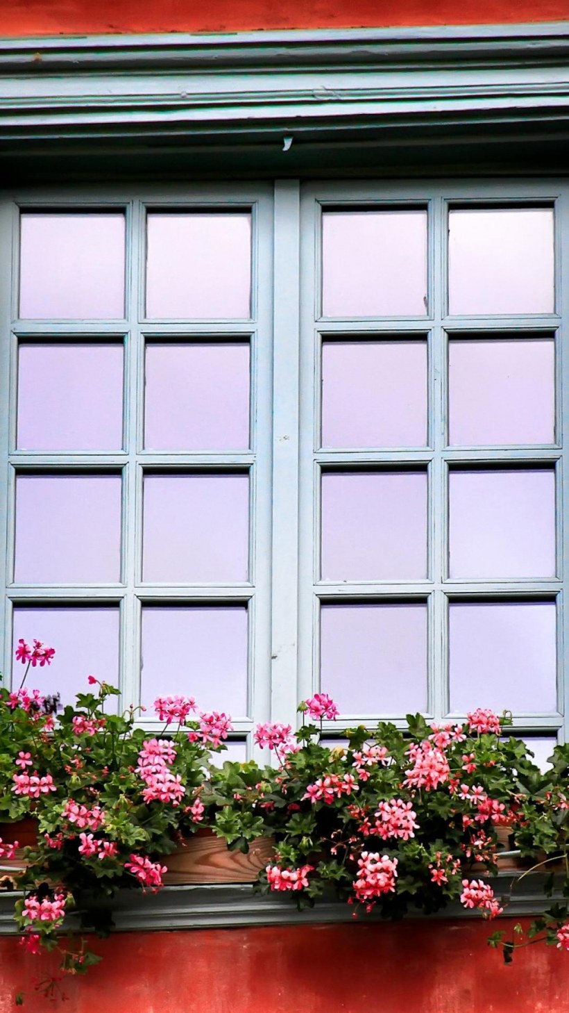 Французские окна со ставнями