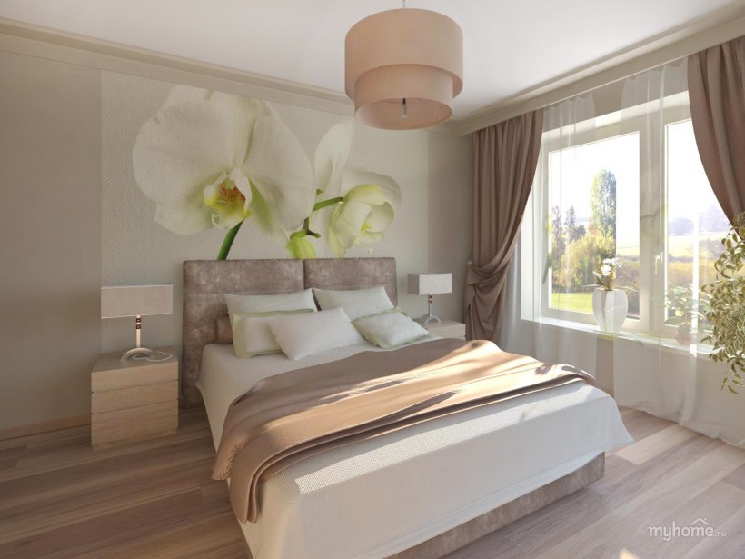 Цветок в спальню для семейной пары