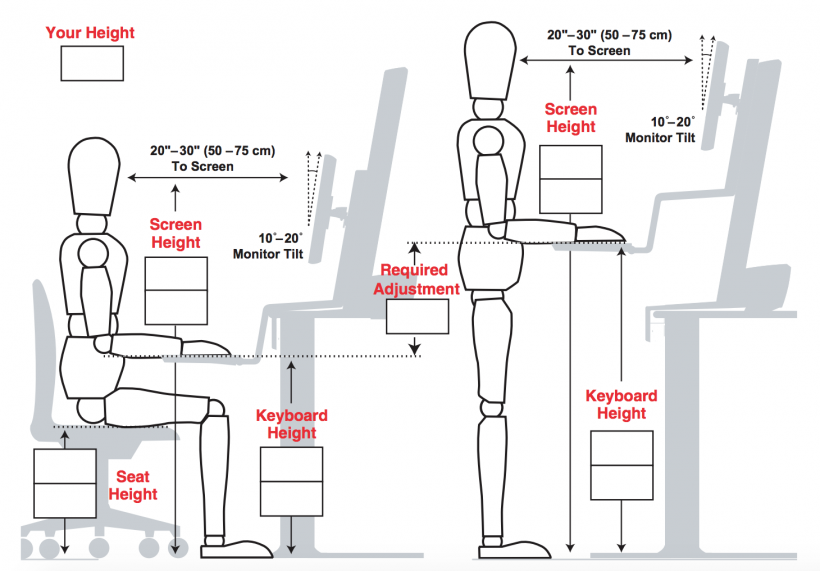 Workstation Ergonomics
