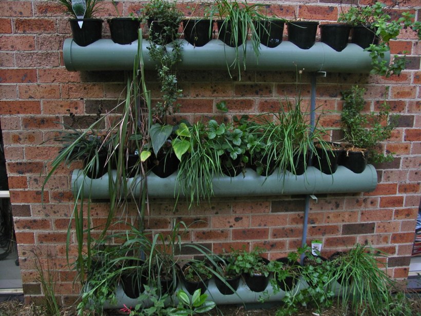 Фитостена из канализационных труб