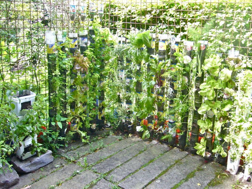 Подвесной огород в пластиковых бутылках