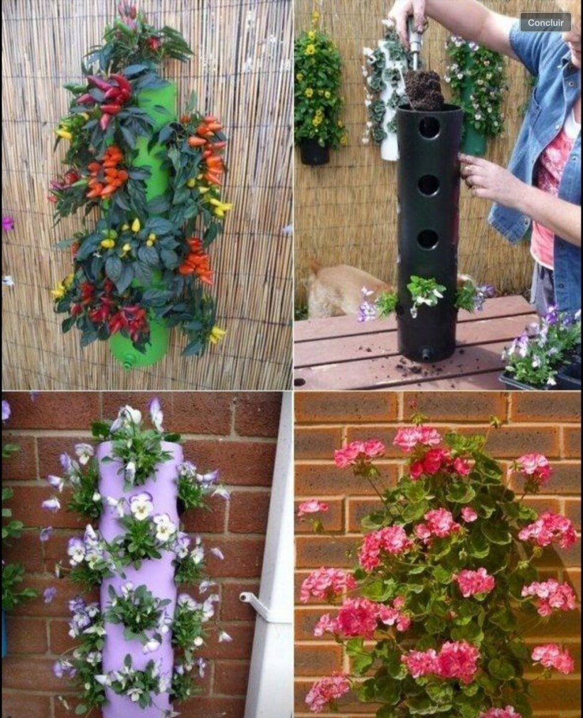 Вертикальные клумбы