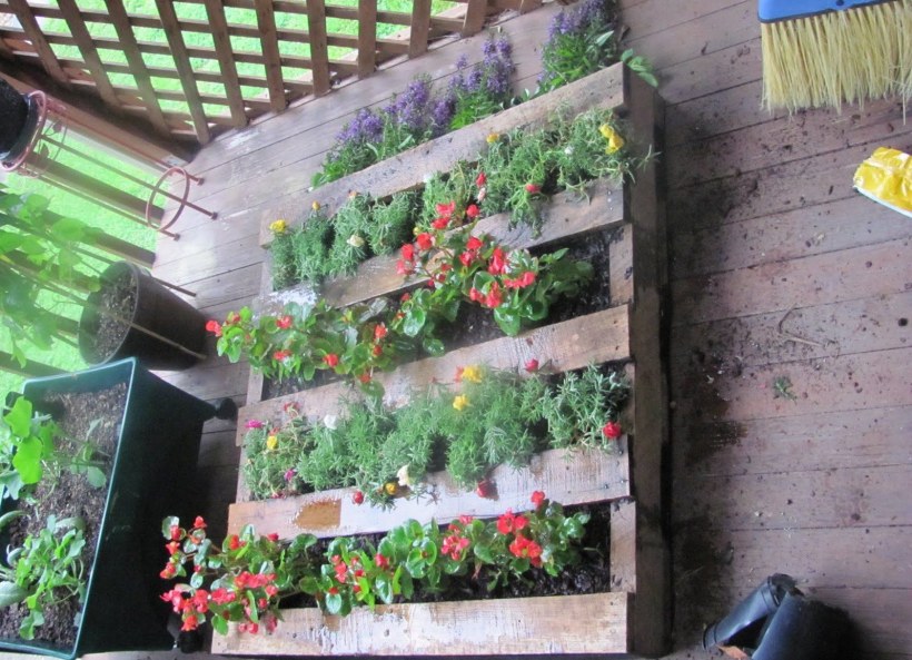 Вертикальные клумбы из подручных материалов