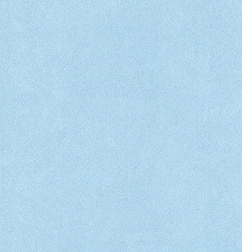 Обои Rasch 445251