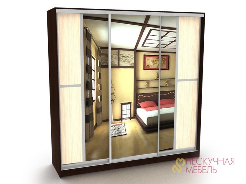 Шкаф-купе Лагуна-36