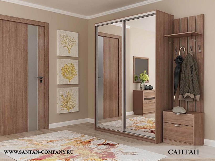 Шкаф купе Оптима №2 -1,2-2