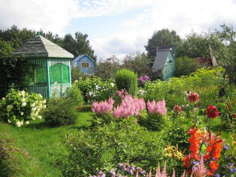 Сад в деревне