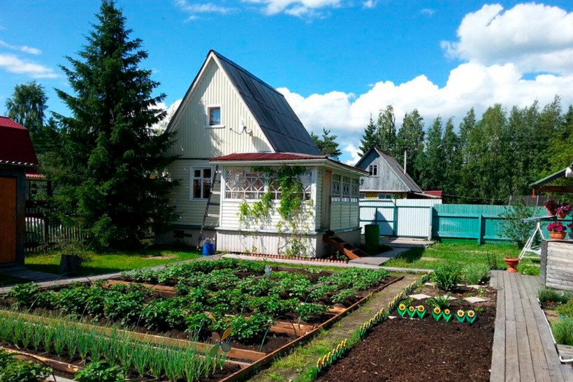 Дачный домик с огородом