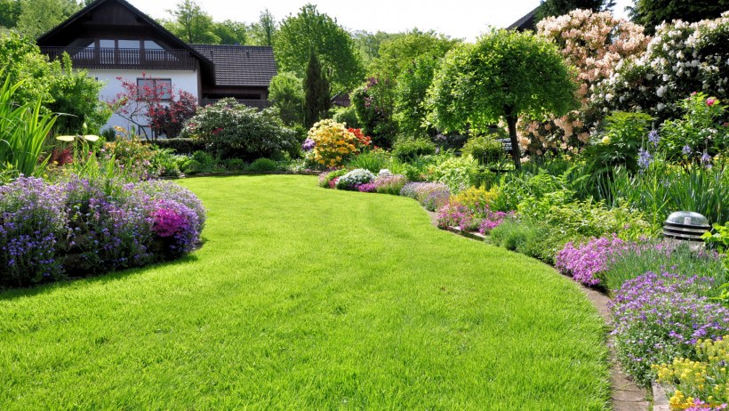 Газон на даче