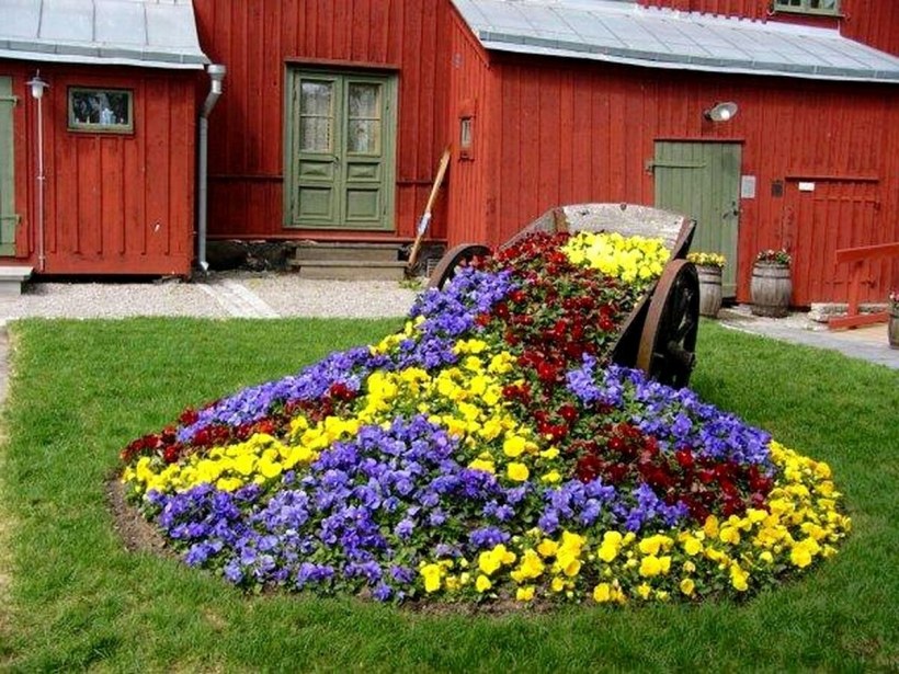 Дачные цветники