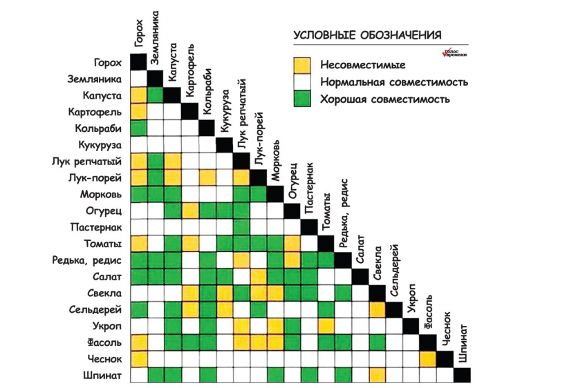 КДК клееные деревянные конструкции