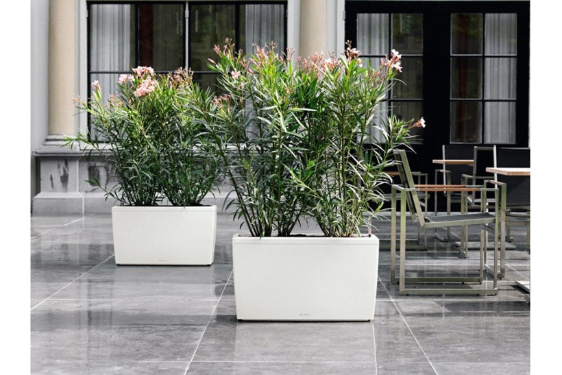 Кашпо Lechuza Cararo 75