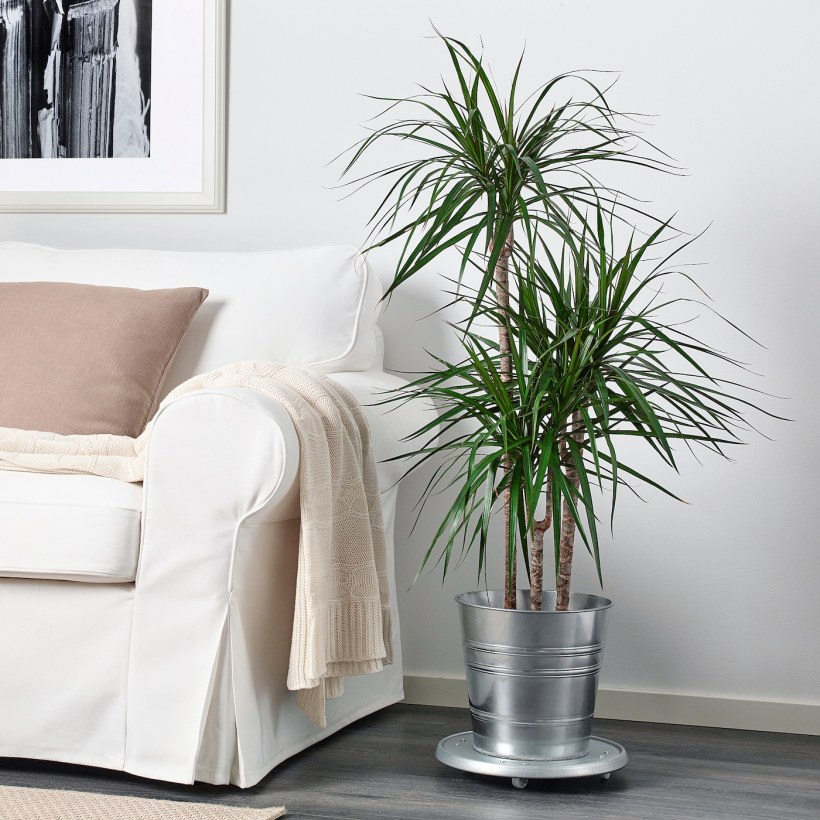 Socker ikea кашпо