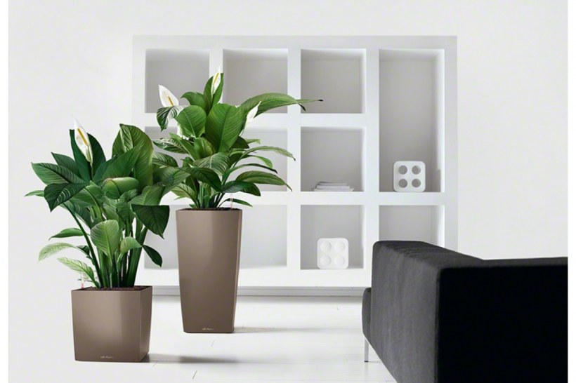 Кашпо с автополивом Lechuza Cube 30