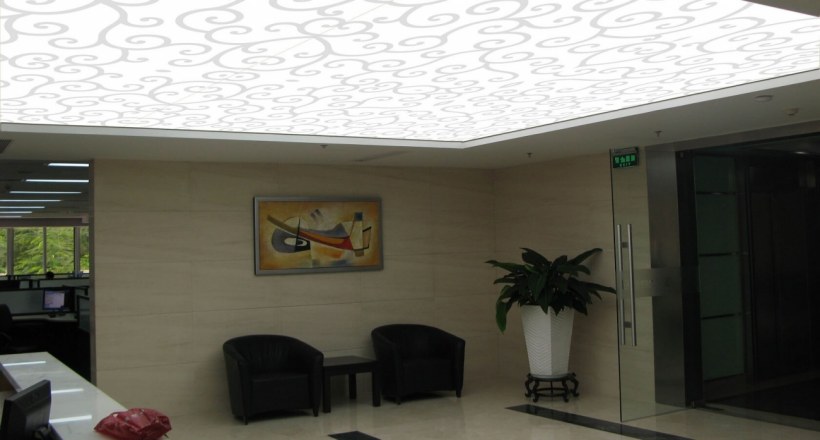 Дабл Вижион потолки