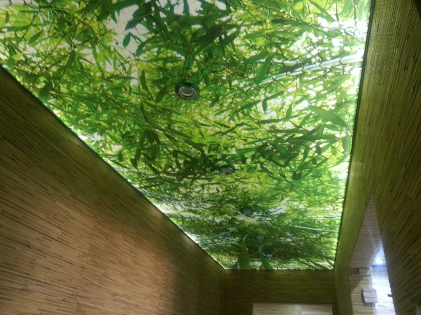 Экостиль натяжные потолки