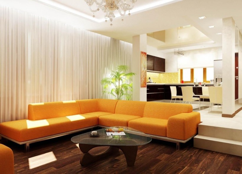 Зонирование кухни и гостиной