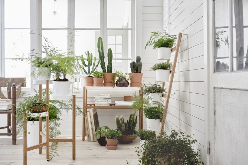 Hanging Plant Shelf