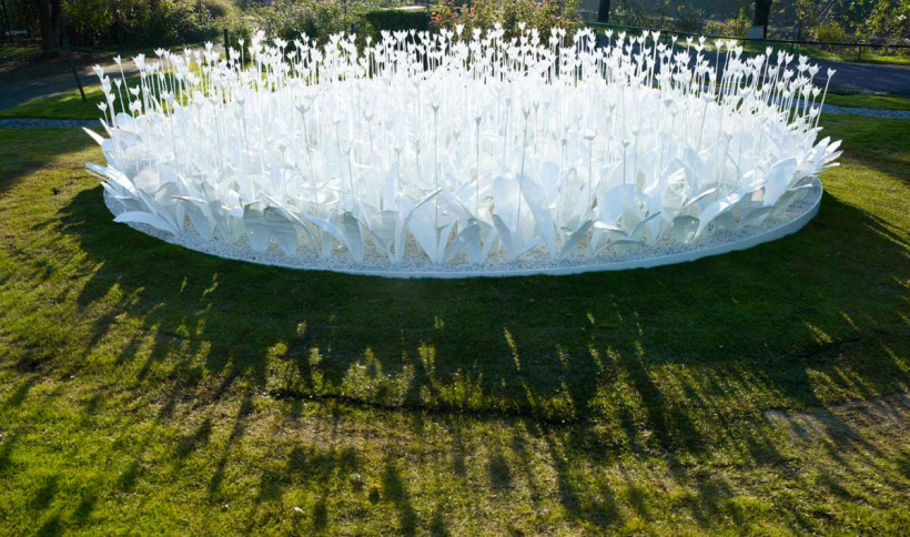 Клумбы из пластиковых бутылок