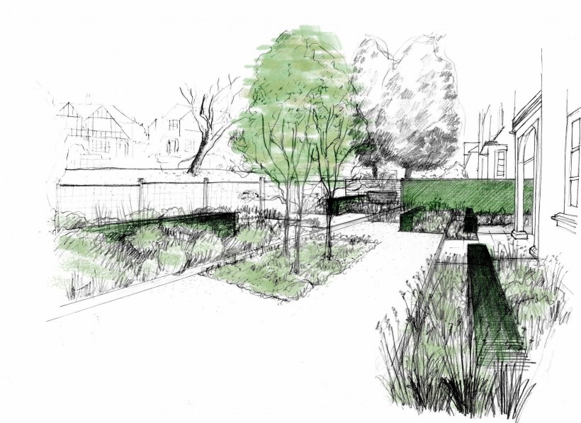 Ландшафт в графике