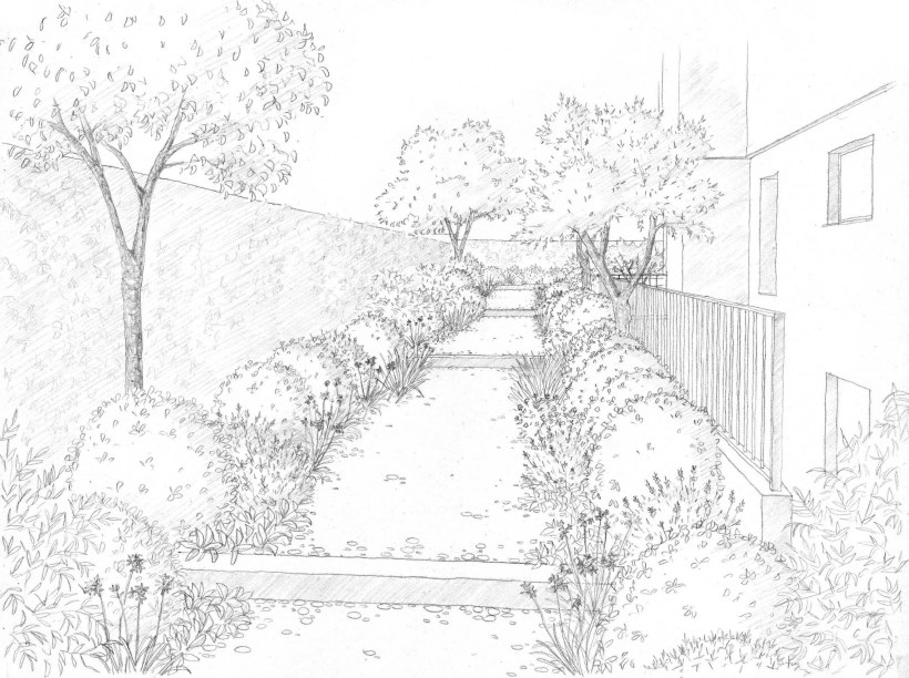 Сад карандашом