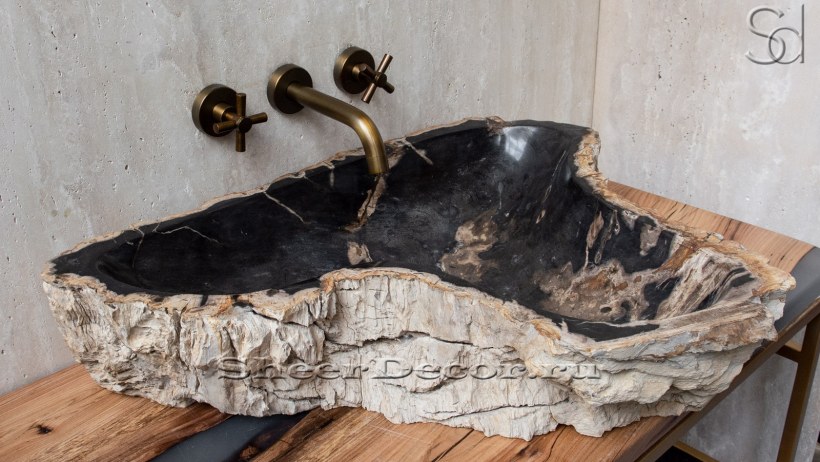 Раковины из окаменевшего дерева для ванной