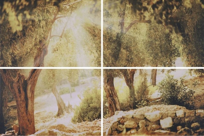 Плитка Селена Шахты