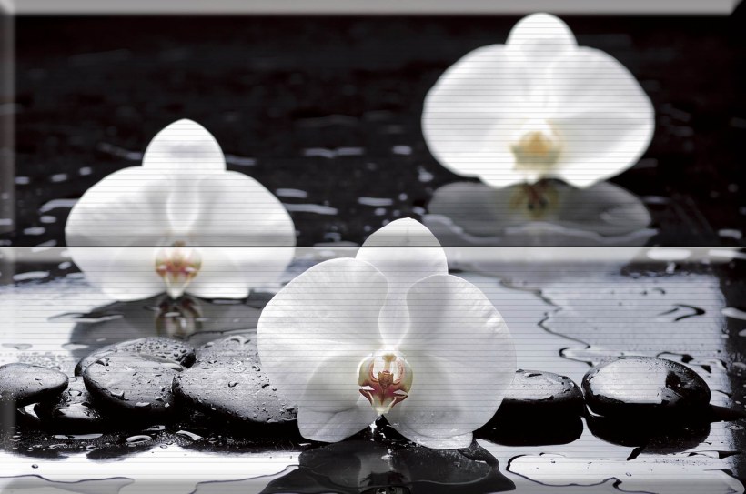 Плитка Абсолют керамика Испания Орхидея