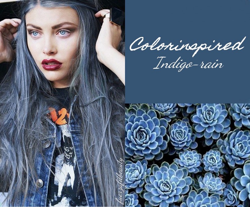 Черничный цвет сочетание