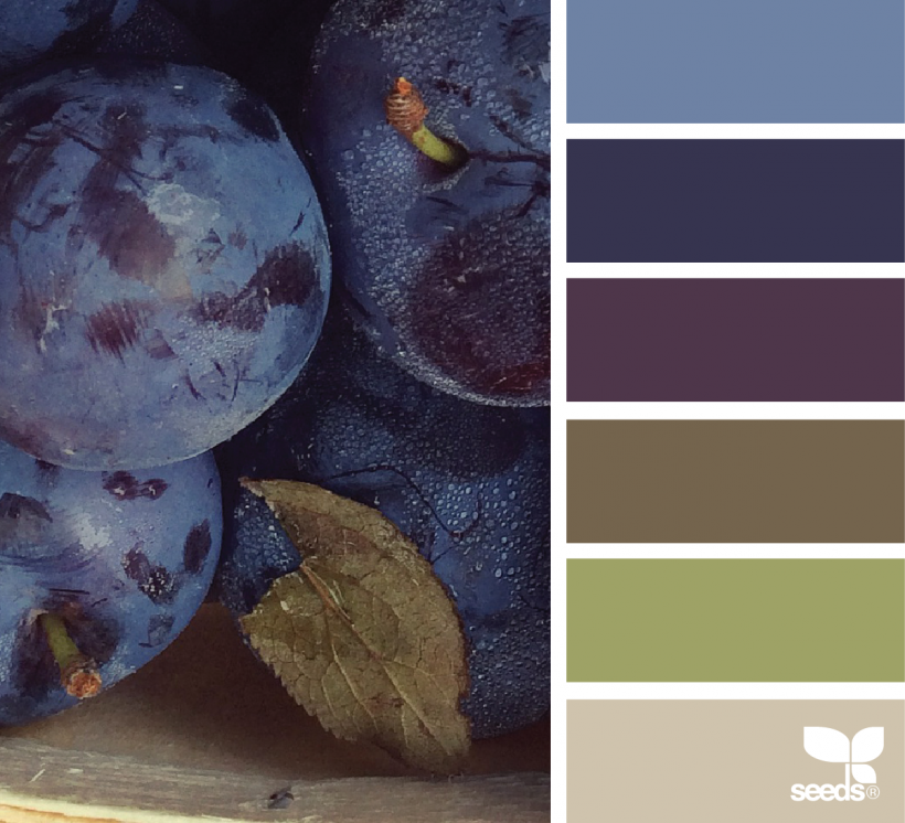 Цвет индиго в одежде