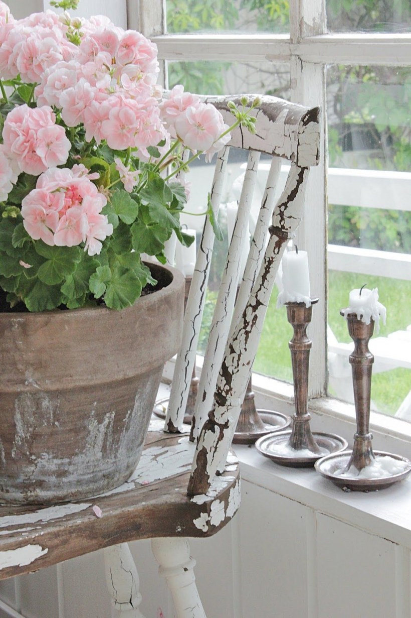 Герань в горшке в интерьере