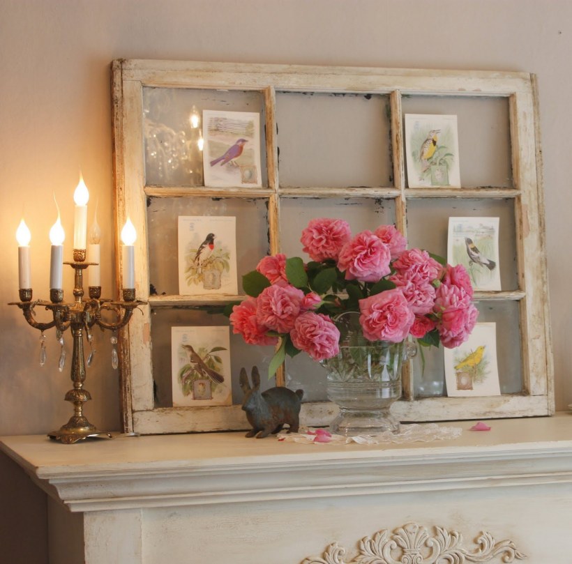 Пеларгония в саду