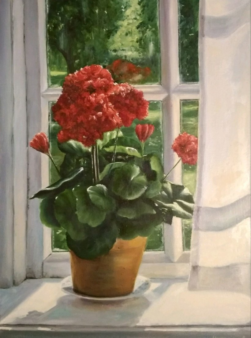 Пеларгония balcon Polaris