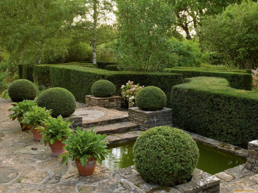 Ландшафтные парки и сады мира самшит