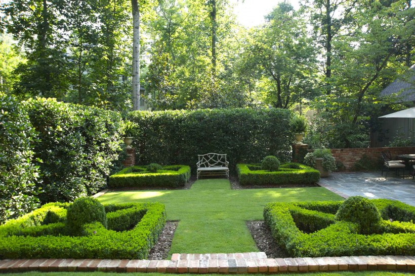 Боскет самшит