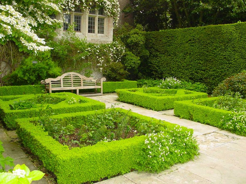 Живая изгородь французский парк Палисад Версаль