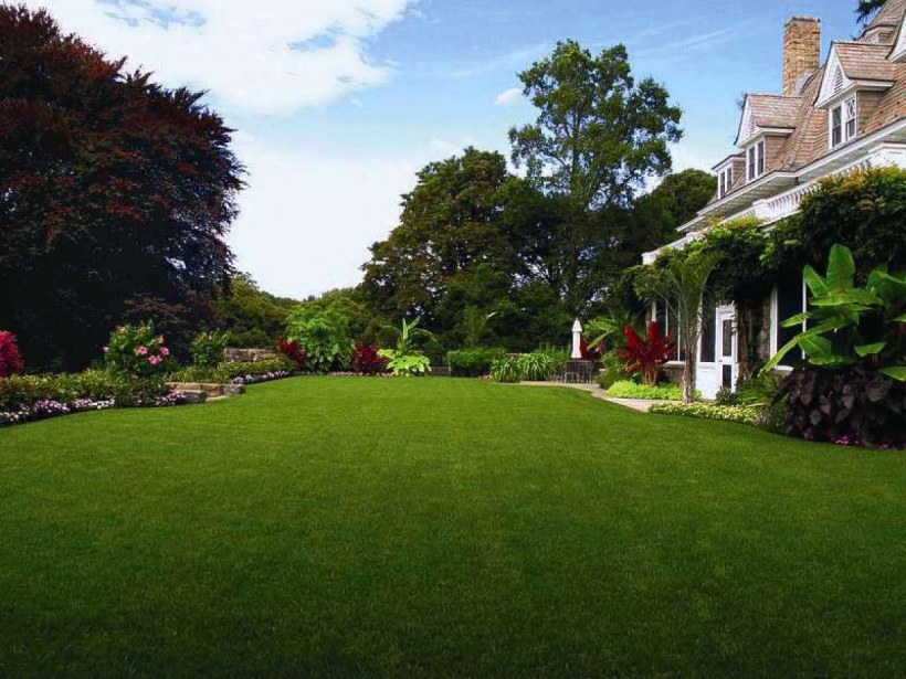 Американский задний двор