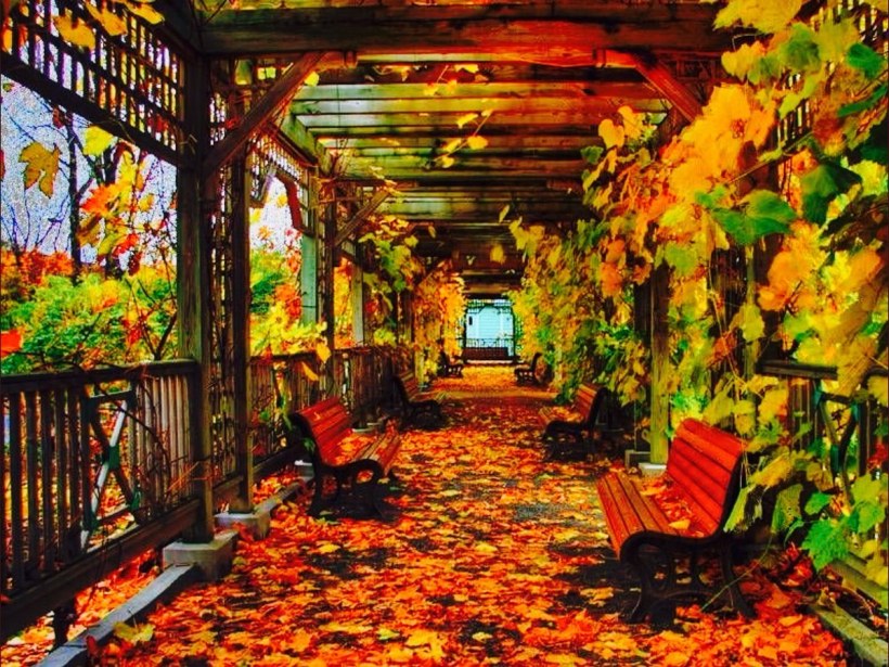 Веранда в осеннем саду