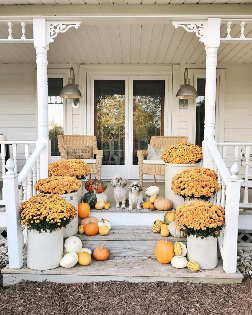Старая веранда окнами в сад